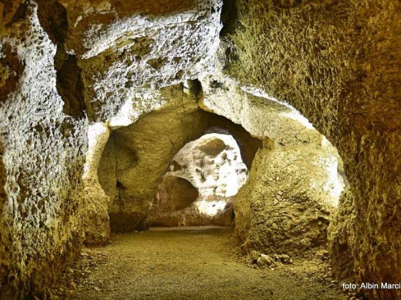 Jaskinia Nietoperzowa - Zygmunta w Dolinie Będkowskiej na Wyżynie Krakowsko-Częstochowskiej