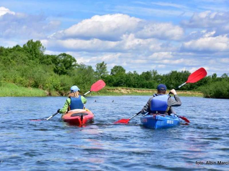 spływ kajakami na Skawie w Małopolsce