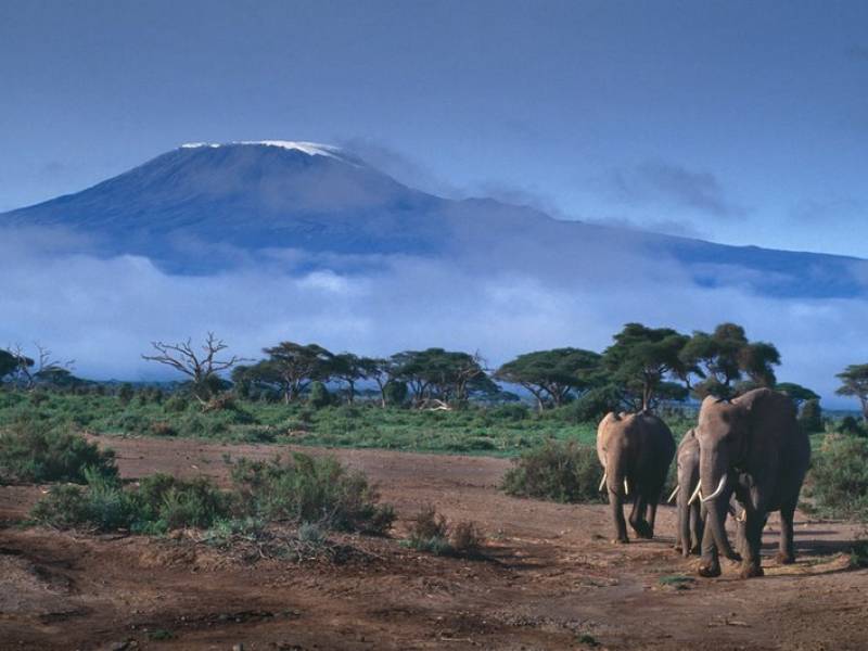 Kilimandżaro – najnowszy kierunek  w siatce Air France