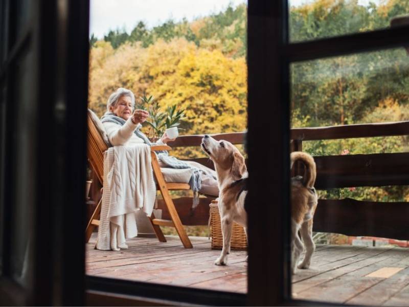 Z psem na szczyt! Gdzie w Beskidach znajdziesz noclegi przyjazne czworonogom?