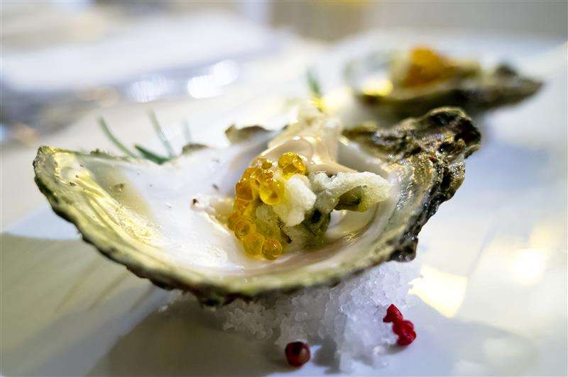 gastro istra optimizirano za web stipe surac