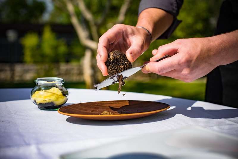 tartuf optimizirano za web ivo biocina