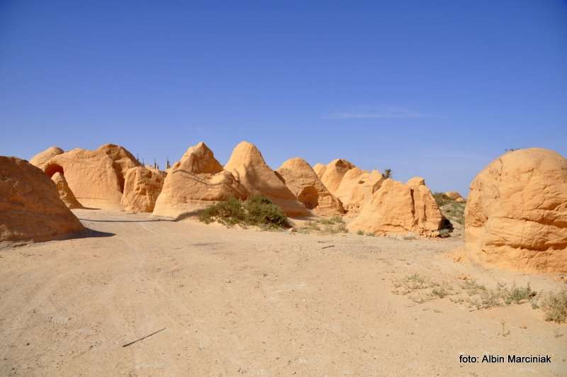 Fatnassa Kebili Tunisia Africa 16