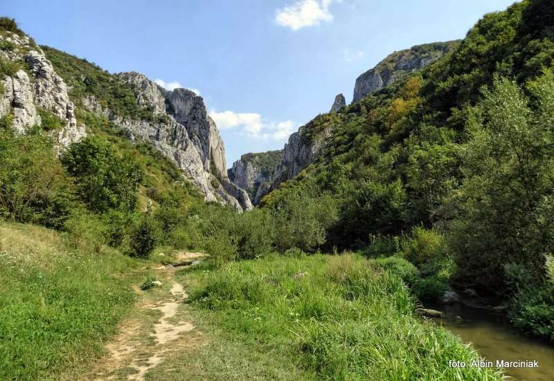 Wąwóz Cheile Turzii 30