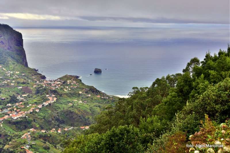 las wawrzynowy na Maderze 13