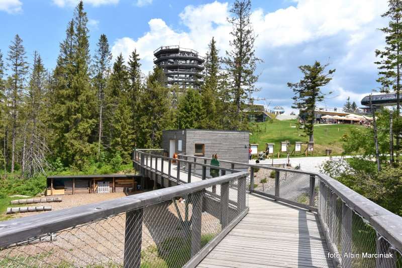 wieża widokowa ścieżka w koronach Słowacja 8