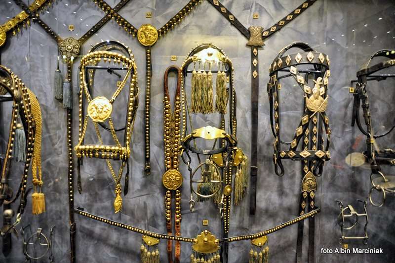 Muzeum w Tarnowie 25