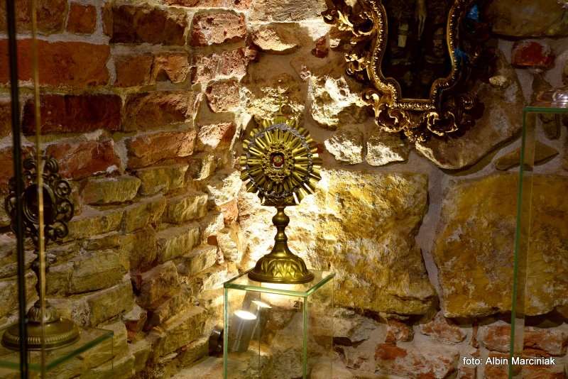 Podziemia Rotunda i Krypty Archikatedry Przemysl 21