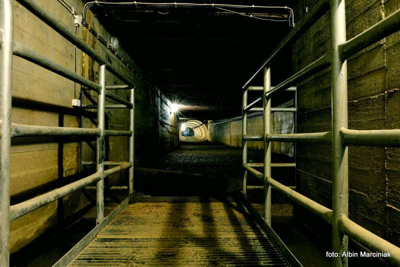 Schron kolejowy Tunel schronowy w Strzyżowie 18