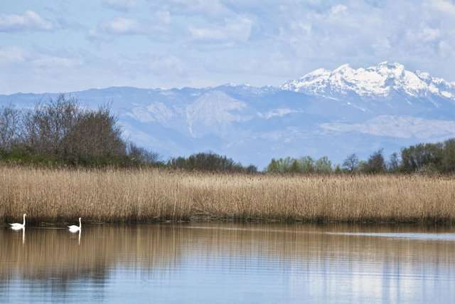 Bibione i Lignano skarby Weneckiej Riwiery 11