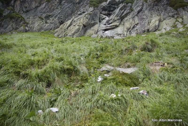 obryw skalny w Ttrach 5