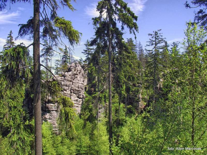 Białe Skały Góry Stołowe 17