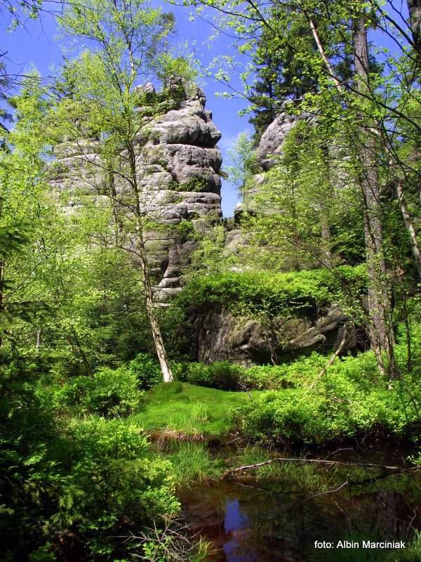 Białe Skały Góry Stołowe 20