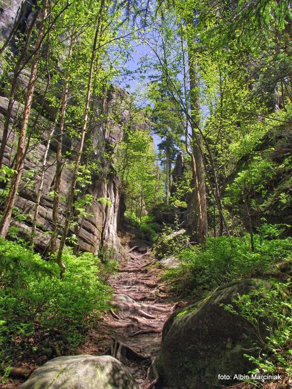 Białe Skały Góry Stołowe 6