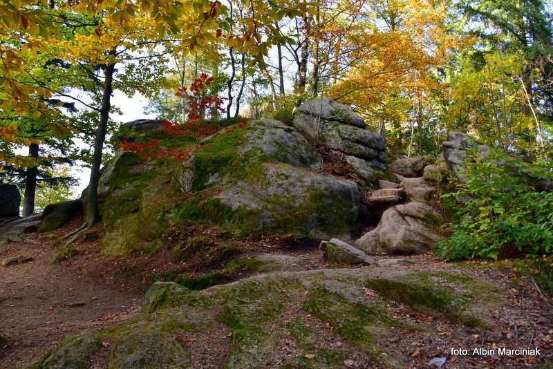 Sokoliki w Rudawach Janowickich na Dolnym Slasku Sokole Gory 3