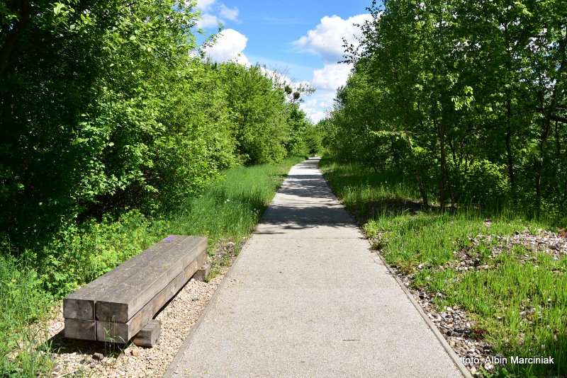 Zespol przyrodniczo krajobrazowy Zabie Doly Park teren rekreacyjny 1
