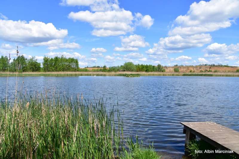 Zespol przyrodniczo krajobrazowy Zabie Doly Park teren rekreacyjny 10