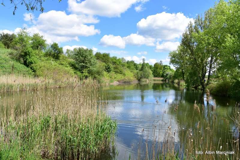Zespol przyrodniczo krajobrazowy Zabie Doly Park teren rekreacyjny 11