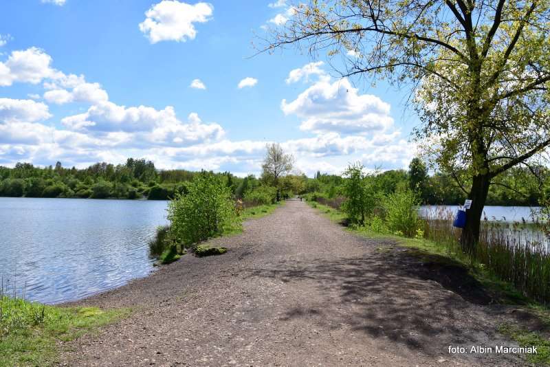 Zespol przyrodniczo krajobrazowy Zabie Doly Park teren rekreacyjny 13