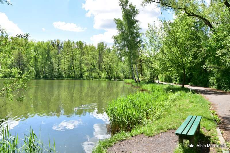 Zespol przyrodniczo krajobrazowy Zabie Doly Park teren rekreacyjny 16