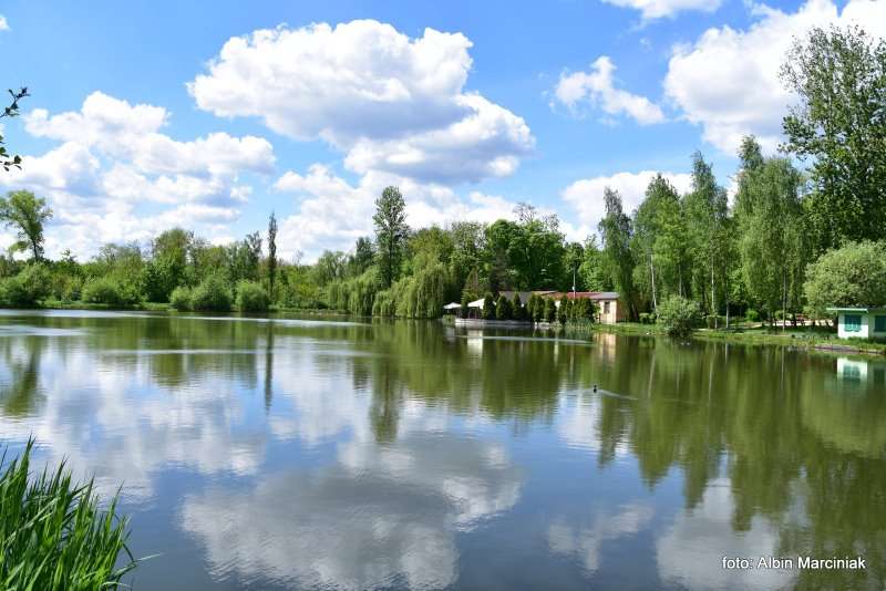Zespol przyrodniczo krajobrazowy Zabie Doly Park teren rekreacyjny 19