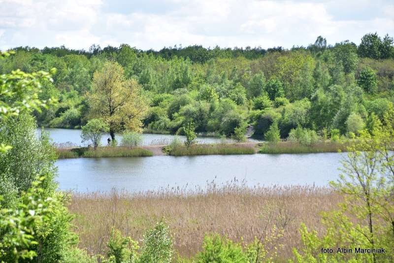 Zespol przyrodniczo krajobrazowy Zabie Doly Park teren rekreacyjny 2