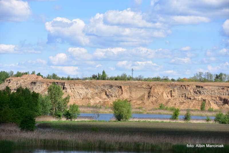 Zespol przyrodniczo krajobrazowy Zabie Doly Park teren rekreacyjny 5