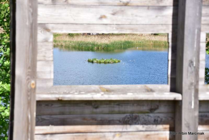 Zespol przyrodniczo krajobrazowy Zabie Doly Park teren rekreacyjny 8