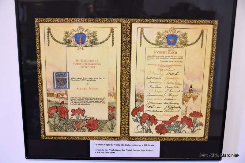 Muzeum laureata Nagrody Nobla dr Roberta Kocha odkrywcy bakterii wywołującej gruźlicę 9