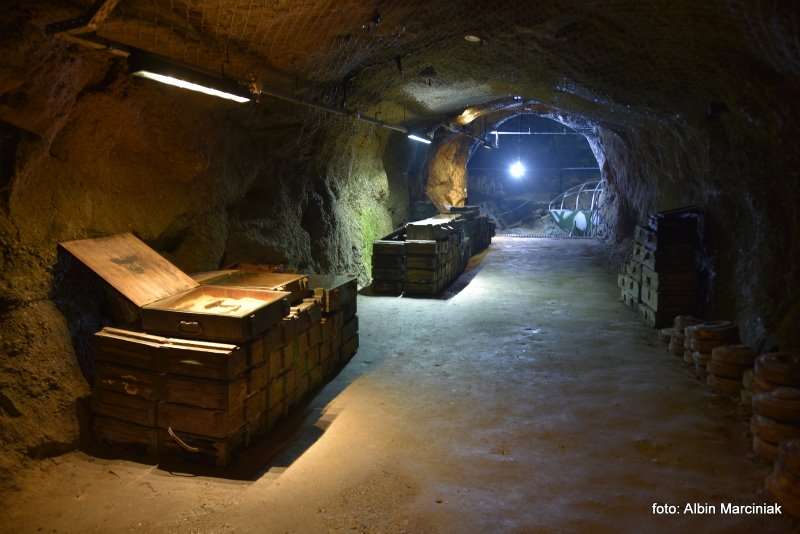 Projekt Arado Zaginione labolatorium Hitlera. Kamienna Gora na Dolnym Slasku 71