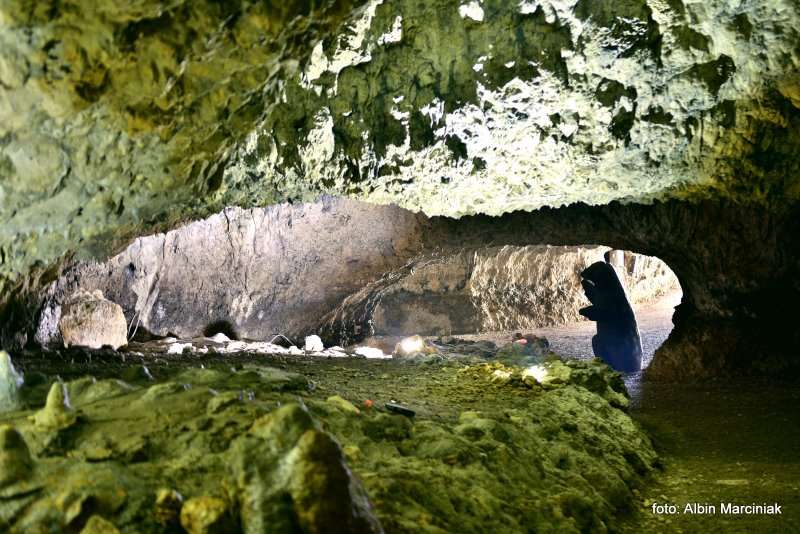 Jaskinia Nietoperzowa 20