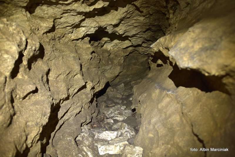 Jaskinia Radochowska 10
