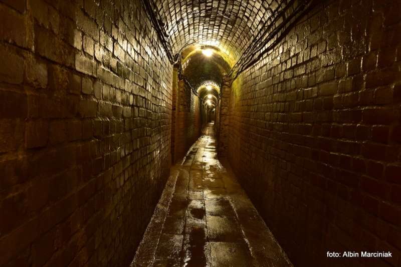 Zabytkowa Kopalnia Srebra w Tarnowskich Gorach UNESCO 5