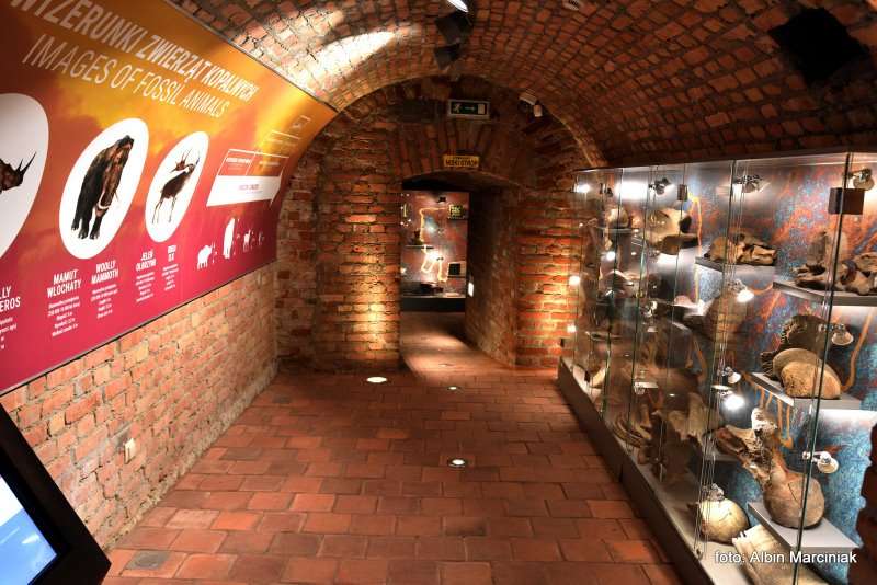 Podziemne Przejscie Turystyczne w Jaroslawiu 8