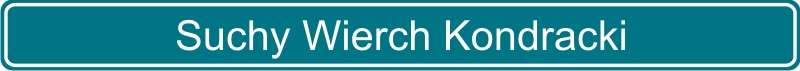 106 Suchy Wierch Kondracki