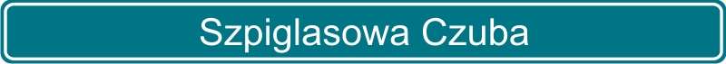 110 Szpiglasowa Czuba
