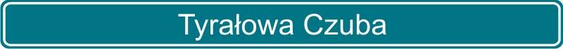 117 Tyrałowa Czuba