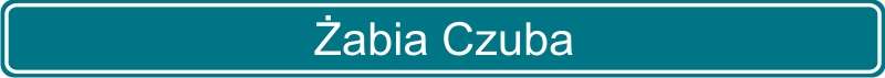 154 Żabia Czuba