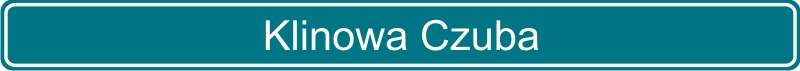 34 Klinowa Czuba