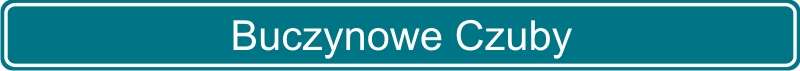 6 Buczynowe Czuby