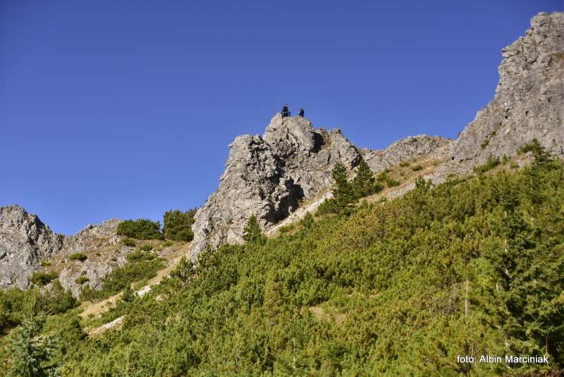 Sarnia Skała Tatry 17