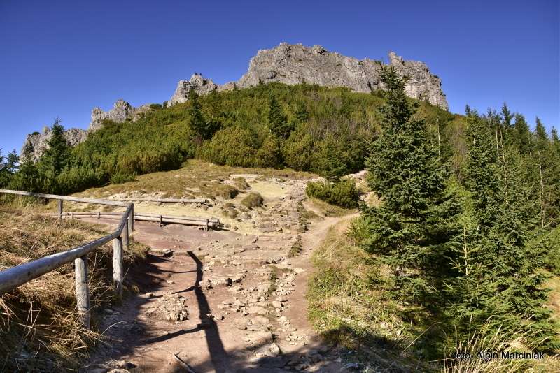 Sarnia Skała Tatry 18