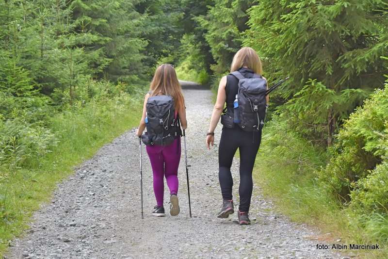 Orlica szlak szczyt wieża 1