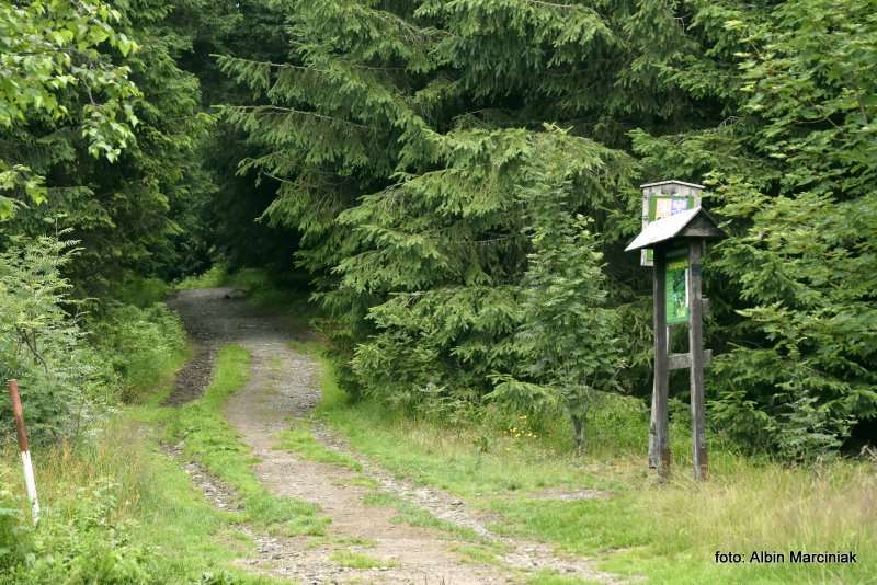 Orlica szlak szczyt wieża 2