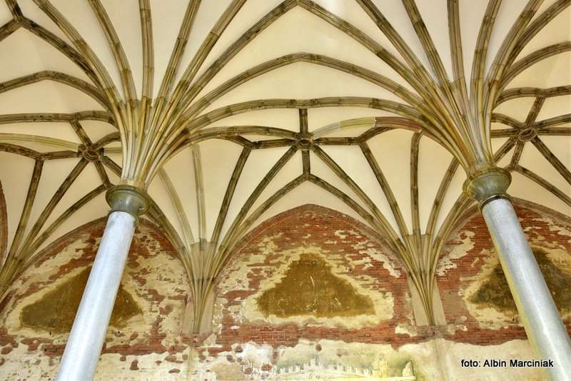 Pałac Marianny Orańskiej w Kamieńcu Ząbkowickim 14