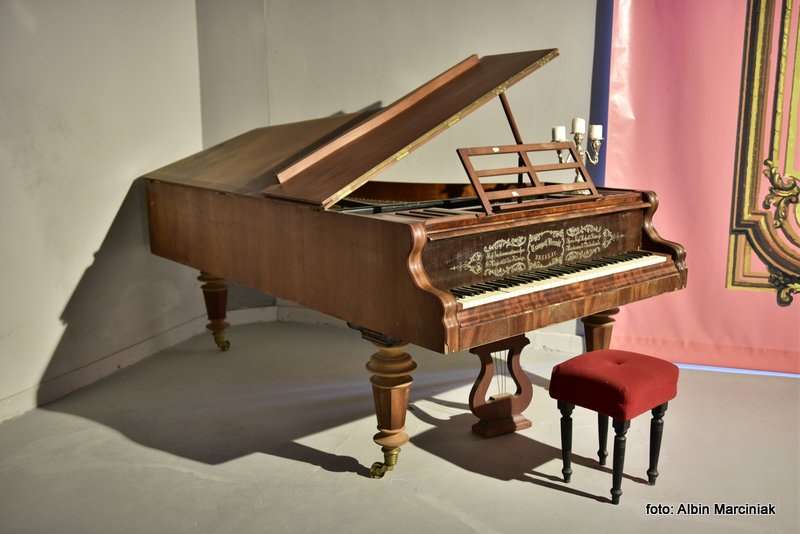 Pałac Marianny Orańskiej w Kamieńcu Ząbkowickim 27