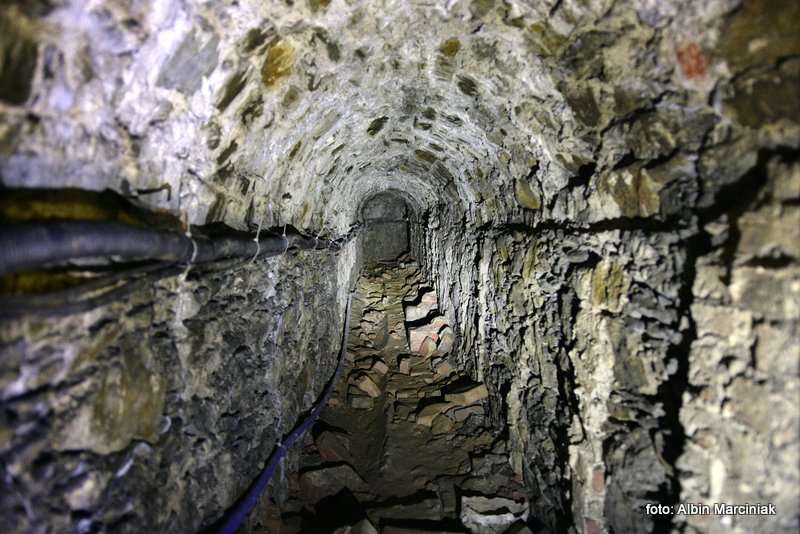 Pałac Marianny Orańskiej w Kamieńcu Ząbkowickim 4