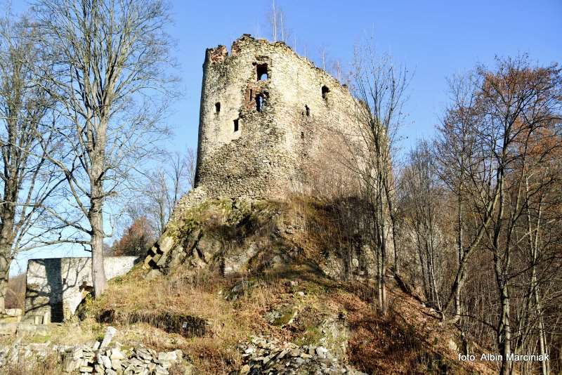 Zamek Miecz w Swieciu 1
