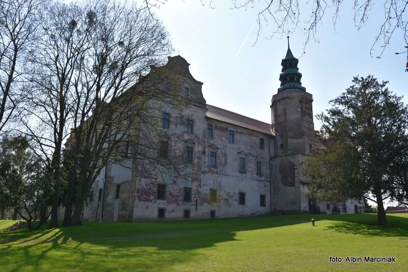 Zamek w Niemodlinie 14