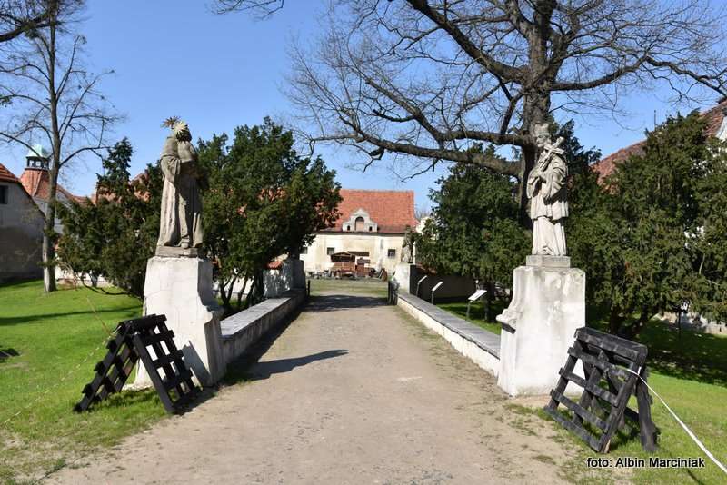 Zamek w Niemodlinie 6